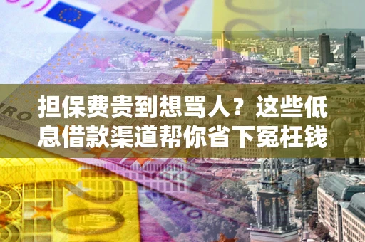 济南担保费贵到想骂人？这些低息借款渠道帮你省下冤枉钱