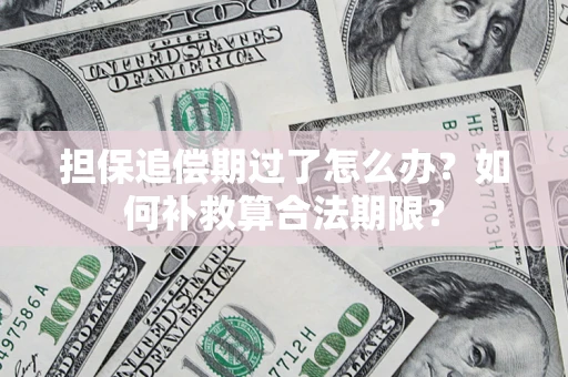 济南担保追偿期过了怎么办？如何补救算合法期限？