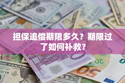 济南担保追偿期限多久？期限过了如何补救？